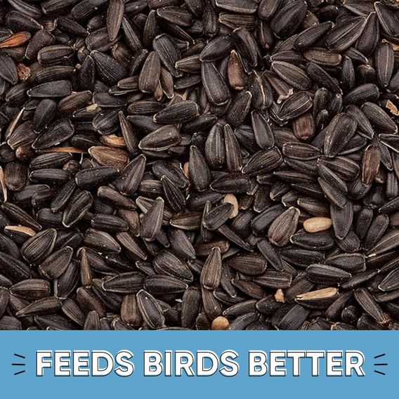 Happy Beaks - Black Sunflower Seeds